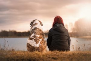 Pet Estate Planning