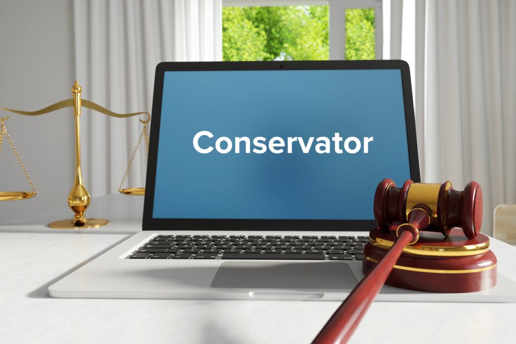 computer with "conservator" and gavel
