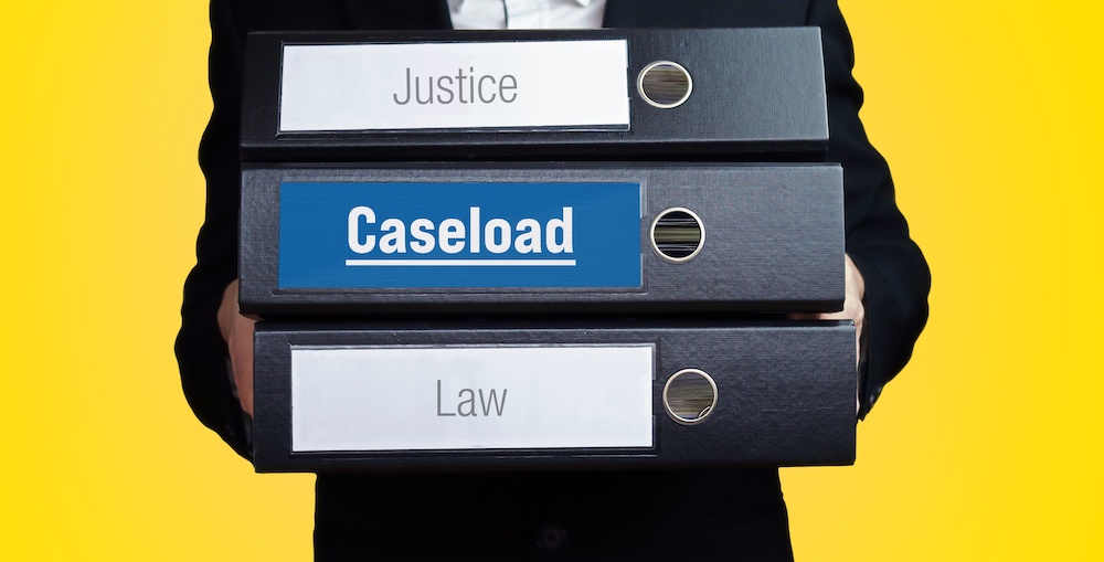 Caseload Probate Process