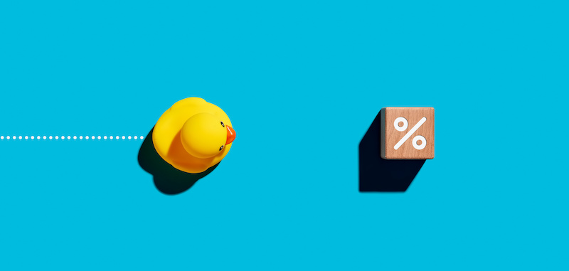 Rubber duck toy moves towards the percent or percentage symbol. Price discount, sale, business investment, mortgage or tax deduction concept.