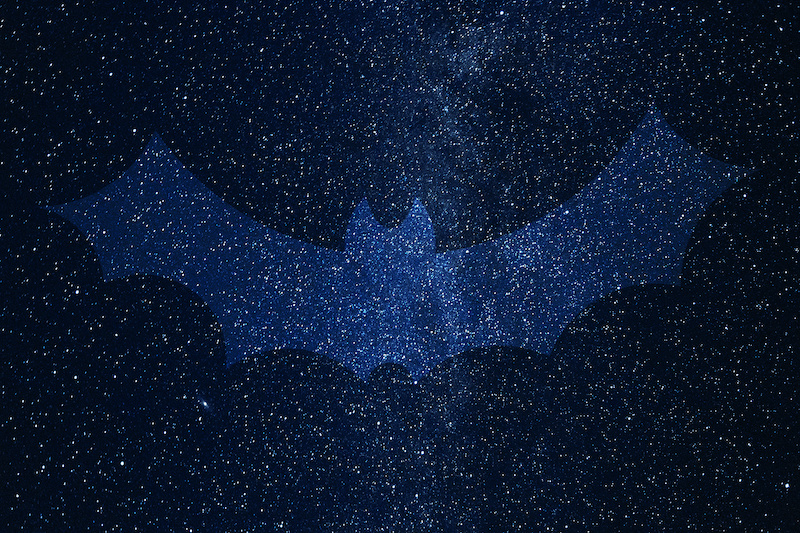 Bat silhouette on background of Universe. Space sky in the night.