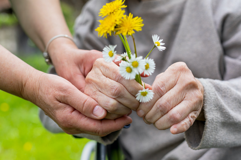 Close up picture of elderly woman with dementia holding flower bouquet given by caretaker - hands