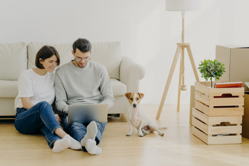 Young European family couple relax during home renovation, focused in laptop computer, plan redecoration, sit near couch with favourite pedigree dog, boxes with personal stuff and floor lamp