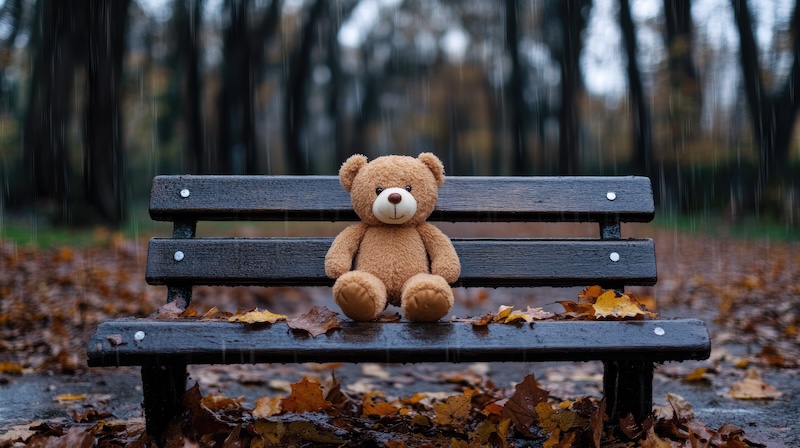 Missing child remembrance - national awareness, search effort, rescue mission, parental grief, disappearance concern, safety advocacy, hope initiative, public support, prevention campaign