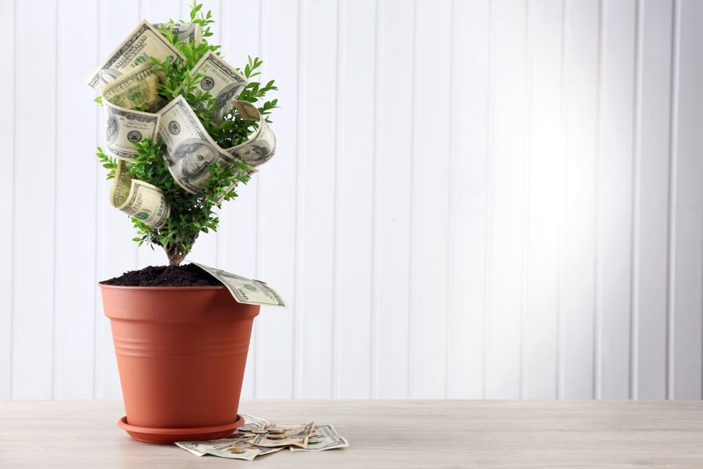Decorative tree in pot with money on wooden background