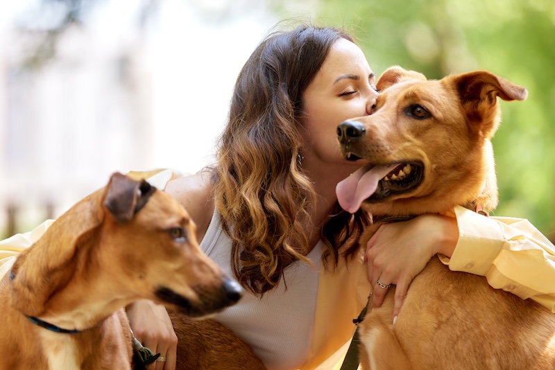 Don't Forget About Your Pets